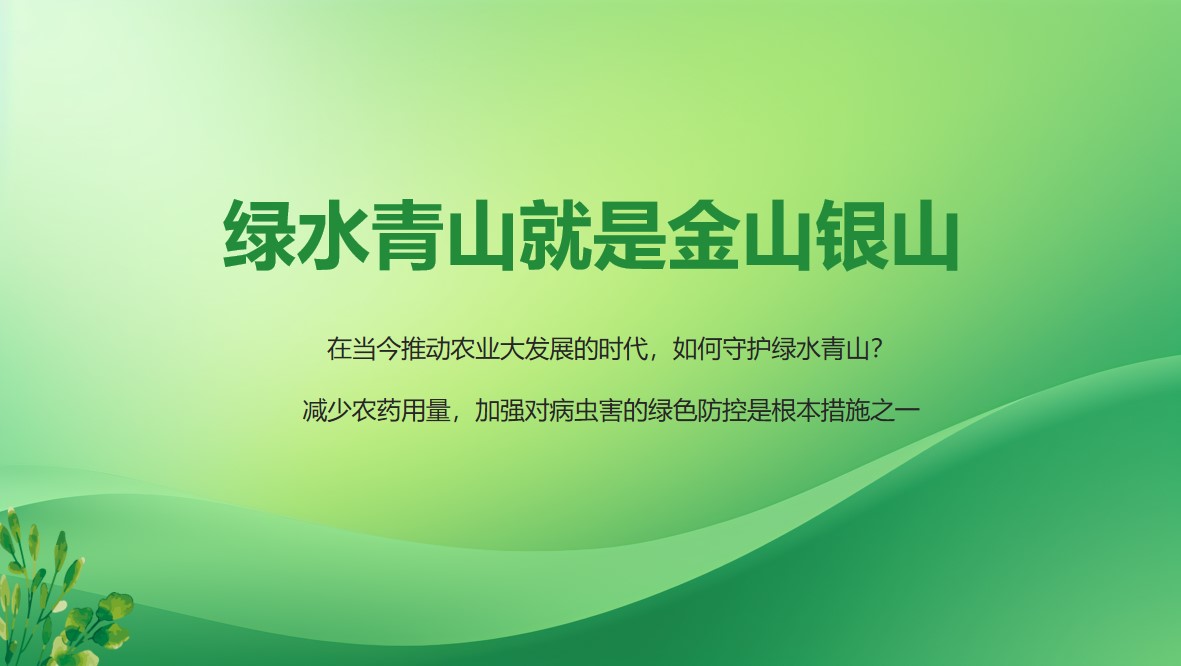绿水青山就是金山银山